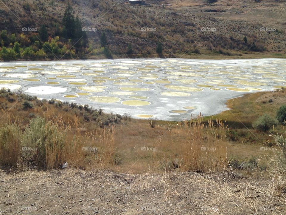 Spotted lake 