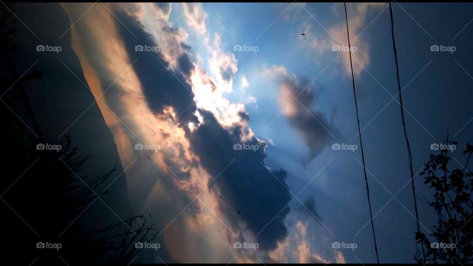 beautiful morning clicks