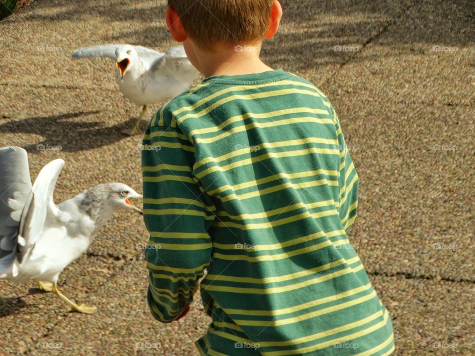 Boy Feeding Birds