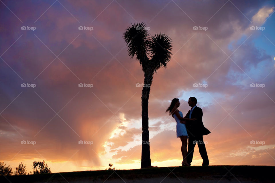 Lovers under the love tree, on a summer sunset sky