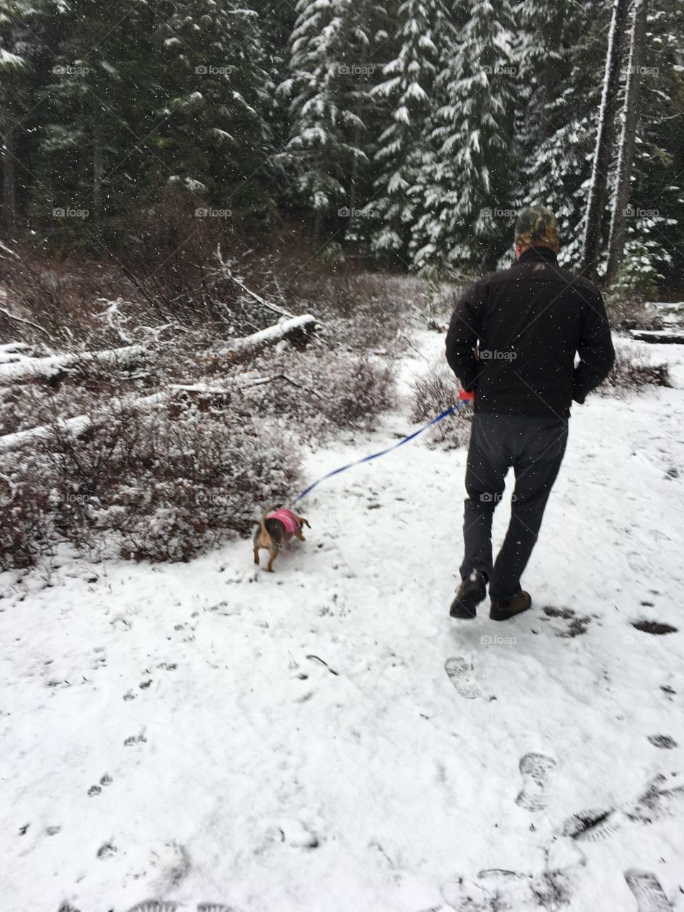 Loving the walk in the snow 