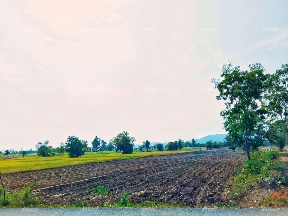 Soil, Farmland, Agriculture