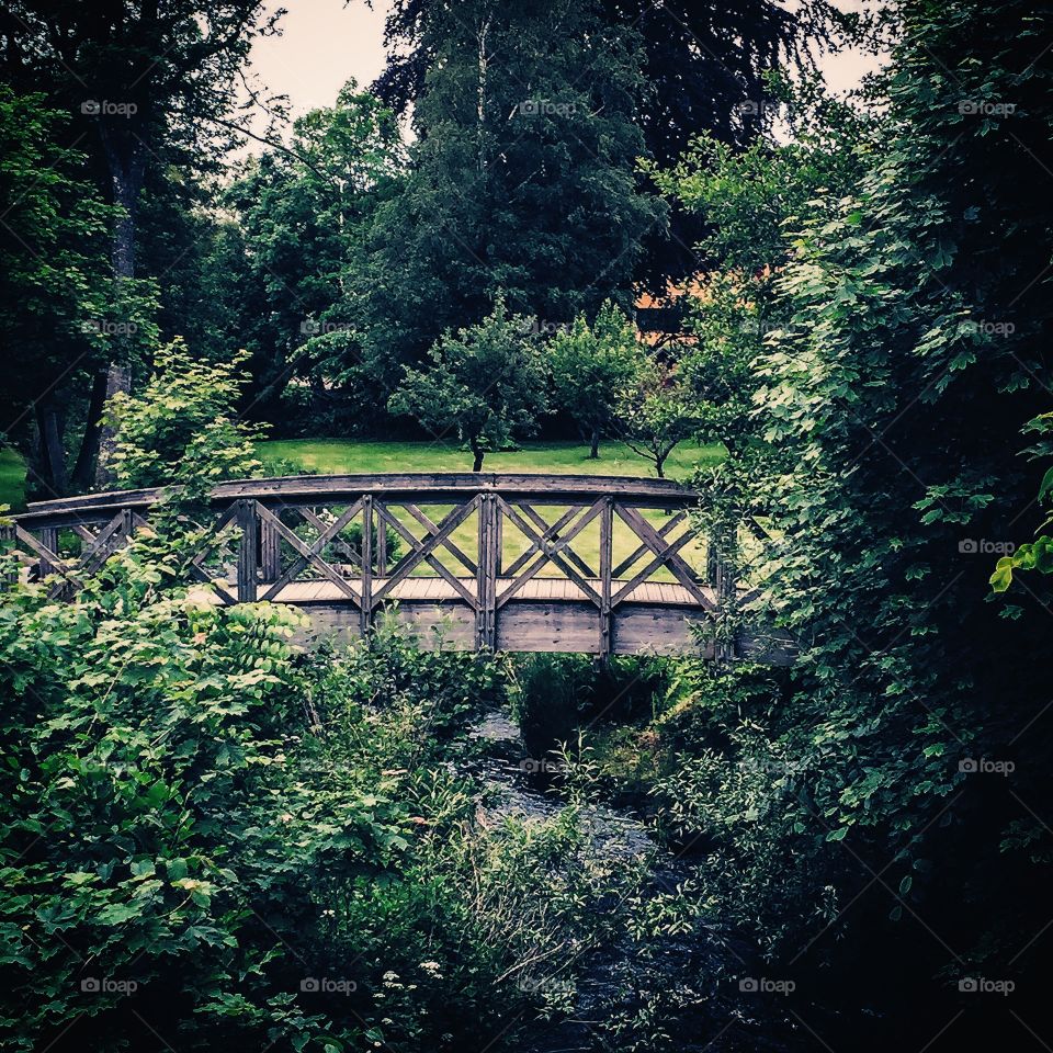 Cute wooden bridge