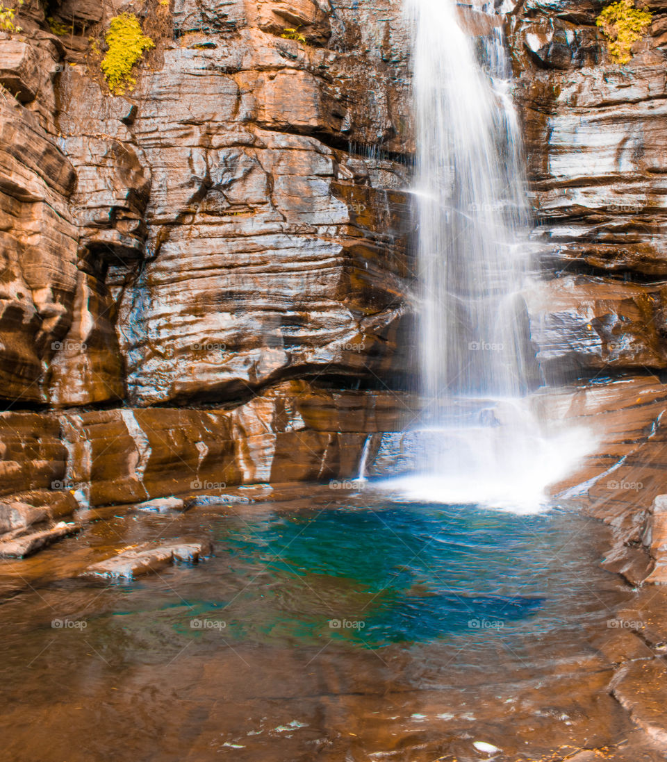 lush water pond