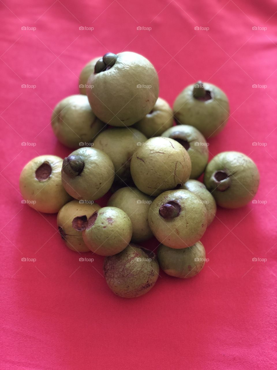 Fruto de guayabo