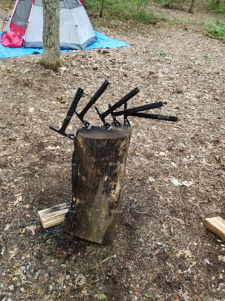 Tomahawk stump