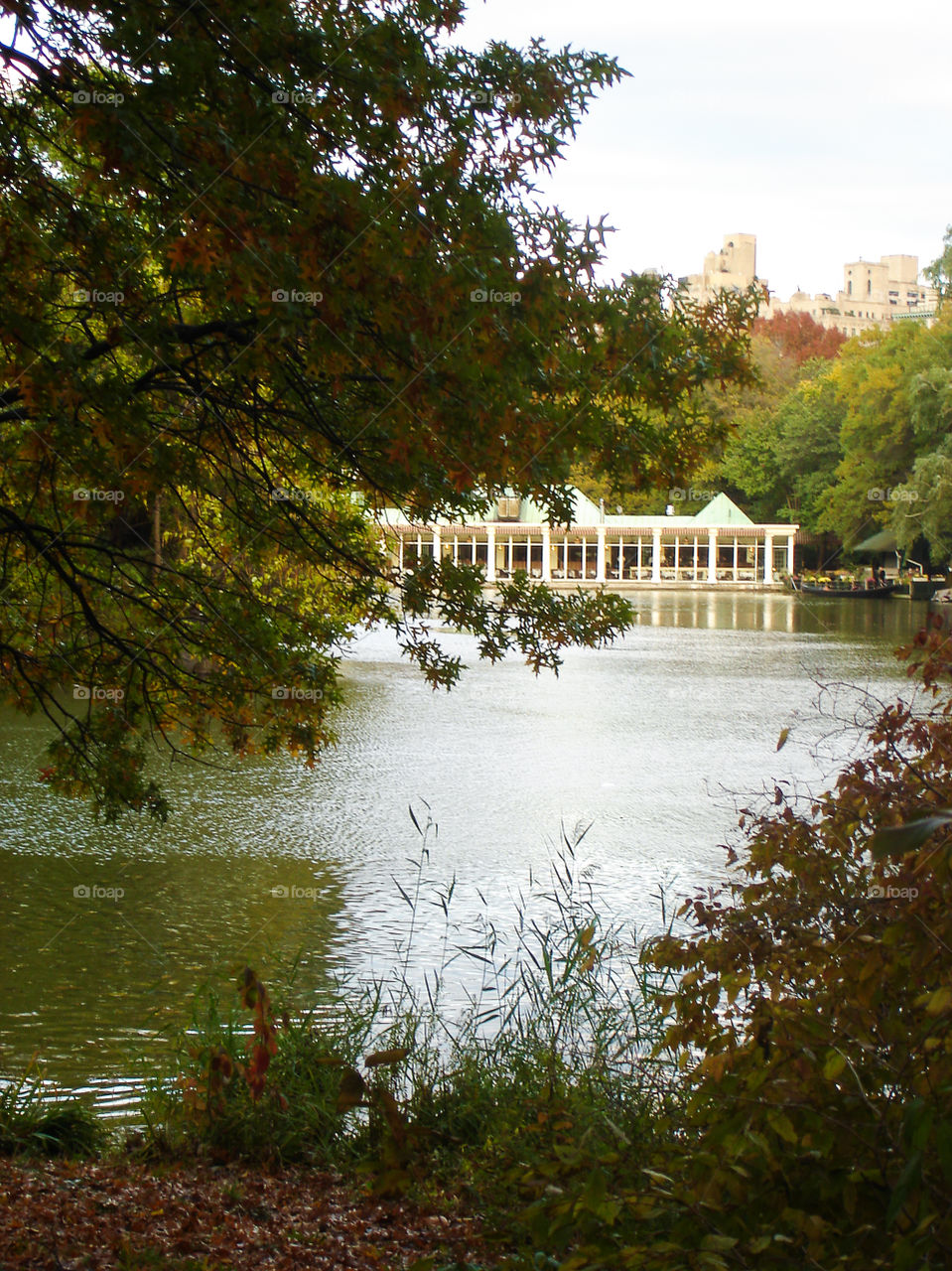 Central Park