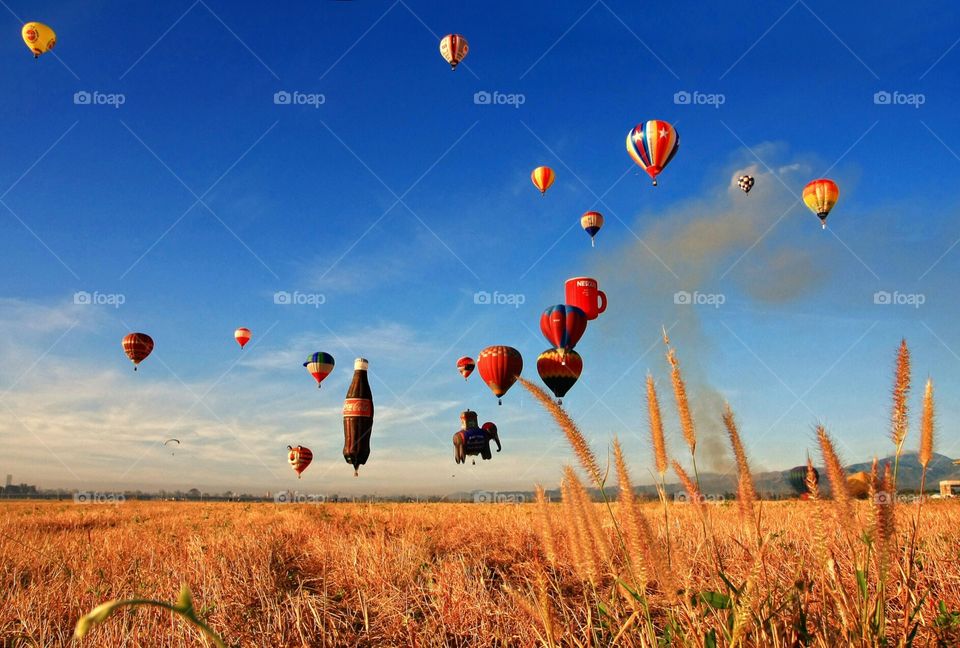 hot air balloon