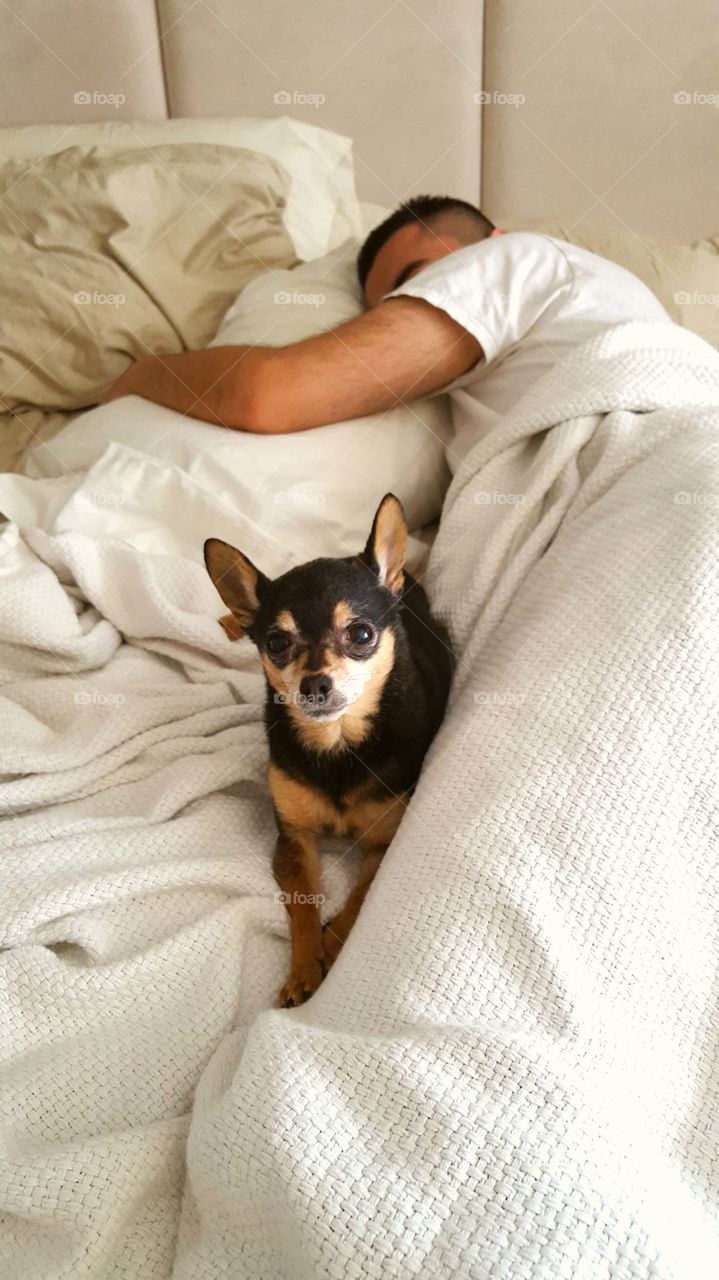 Man sleeping on bed with dog