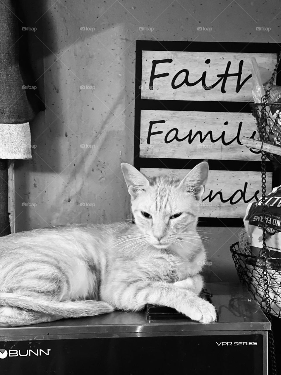 There is nothing like home with your best friend.