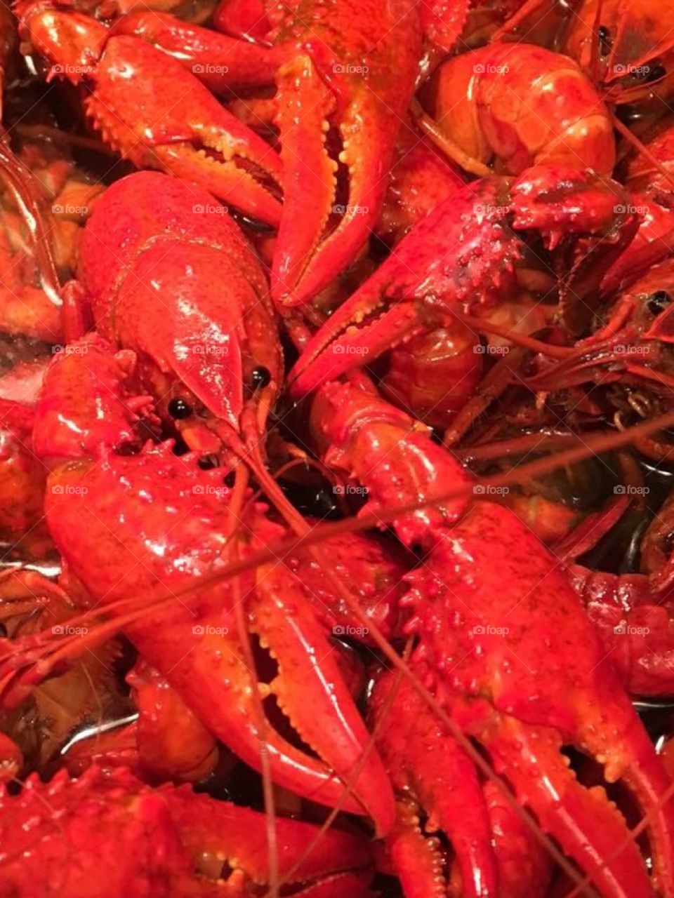 Crawfish