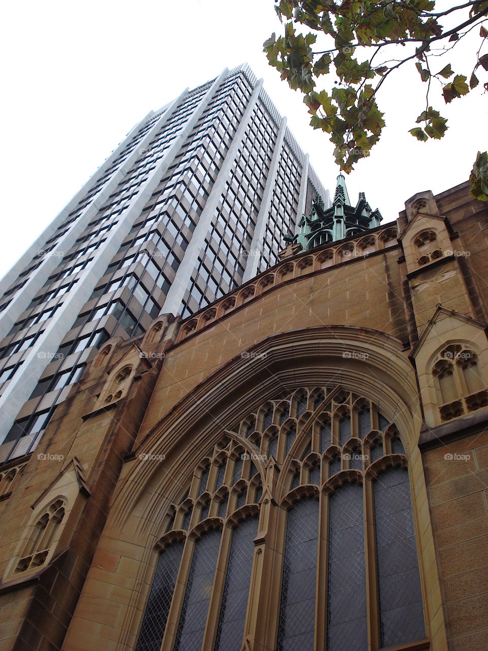 Modern versus ancient 