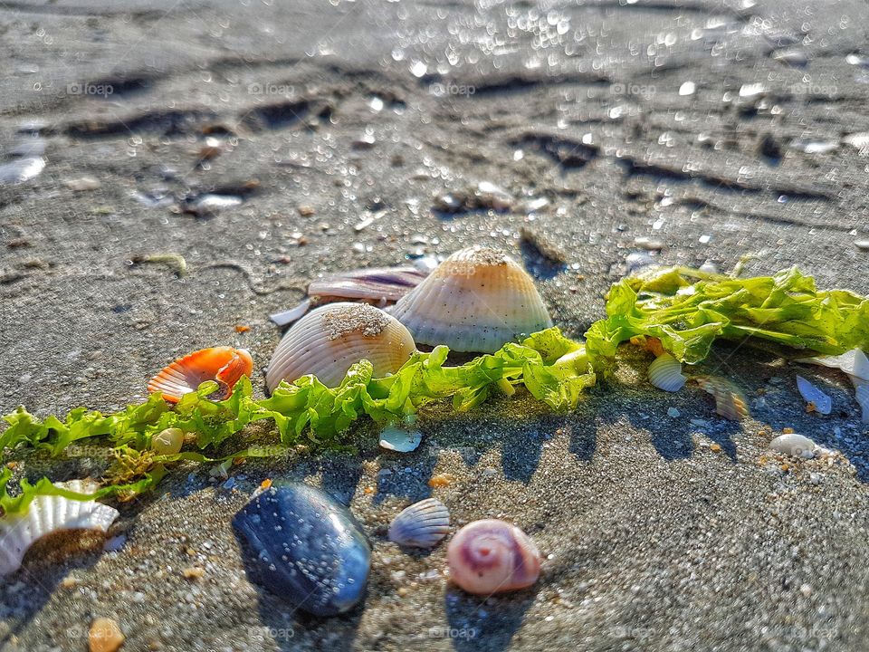 Colours on the beach.