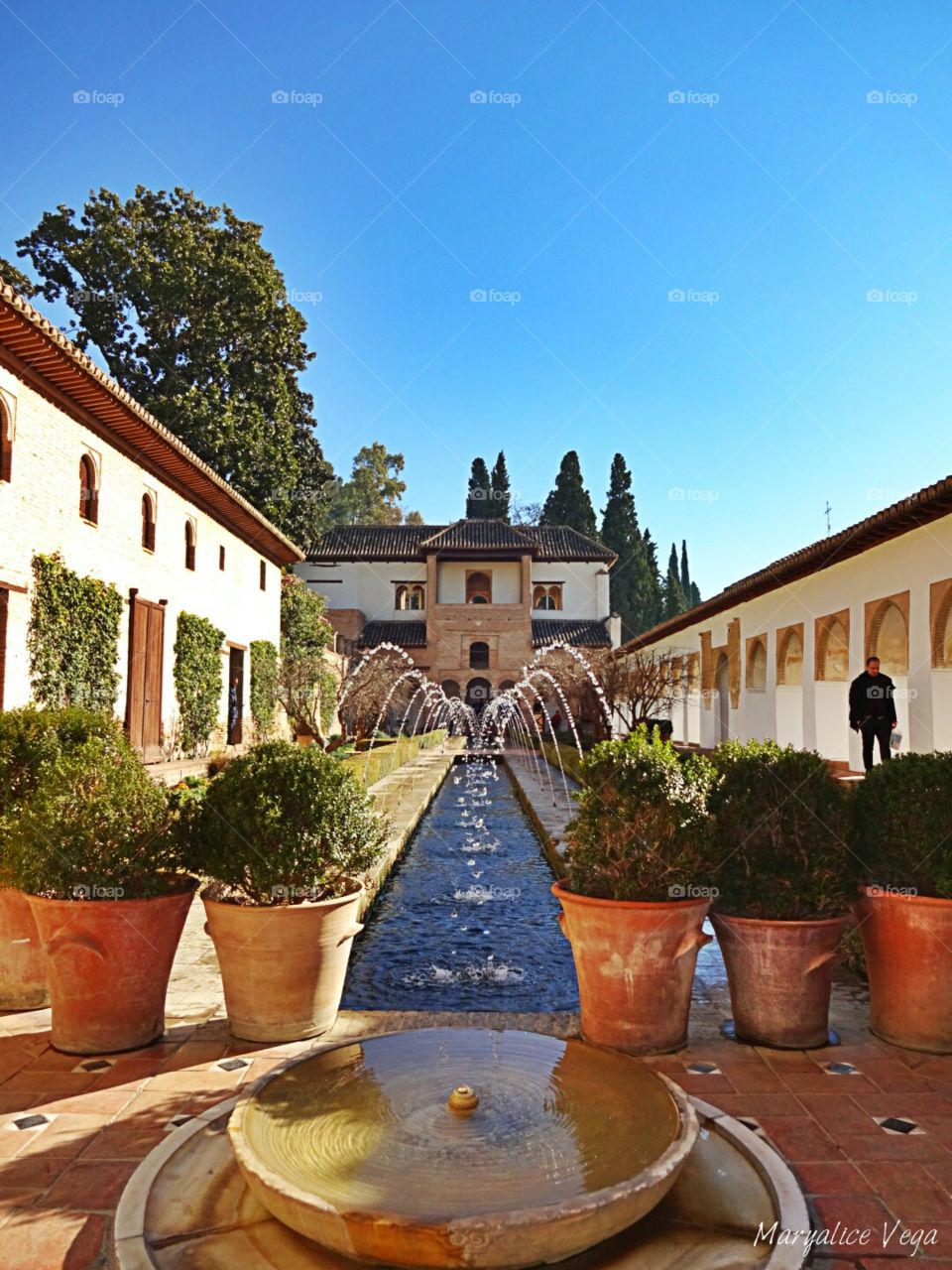 Alhambra Fountains