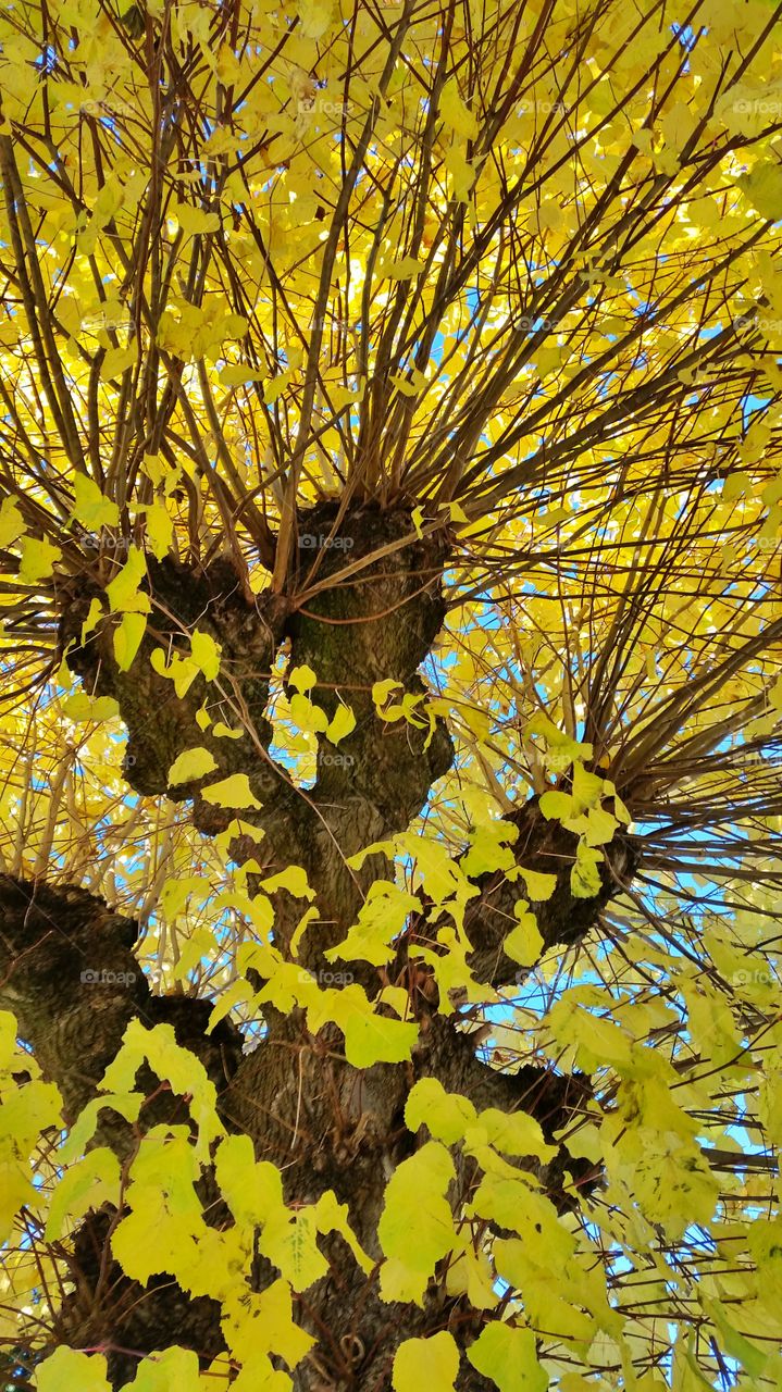 From my little hometown Svelvik, Norway