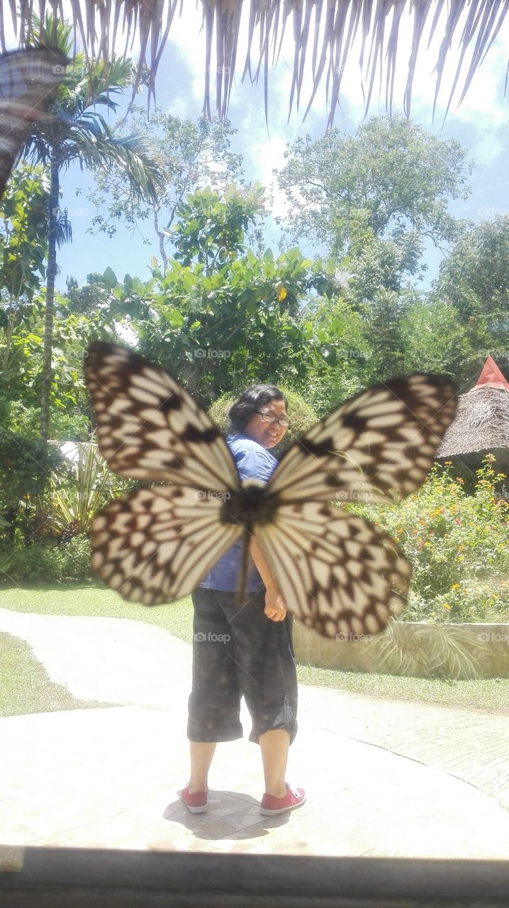Bohol butterfly  garden