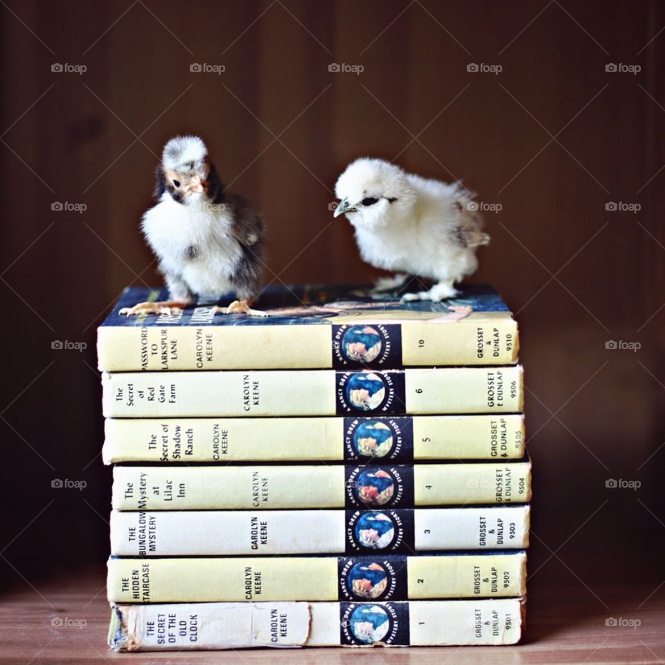 Chicks on Books