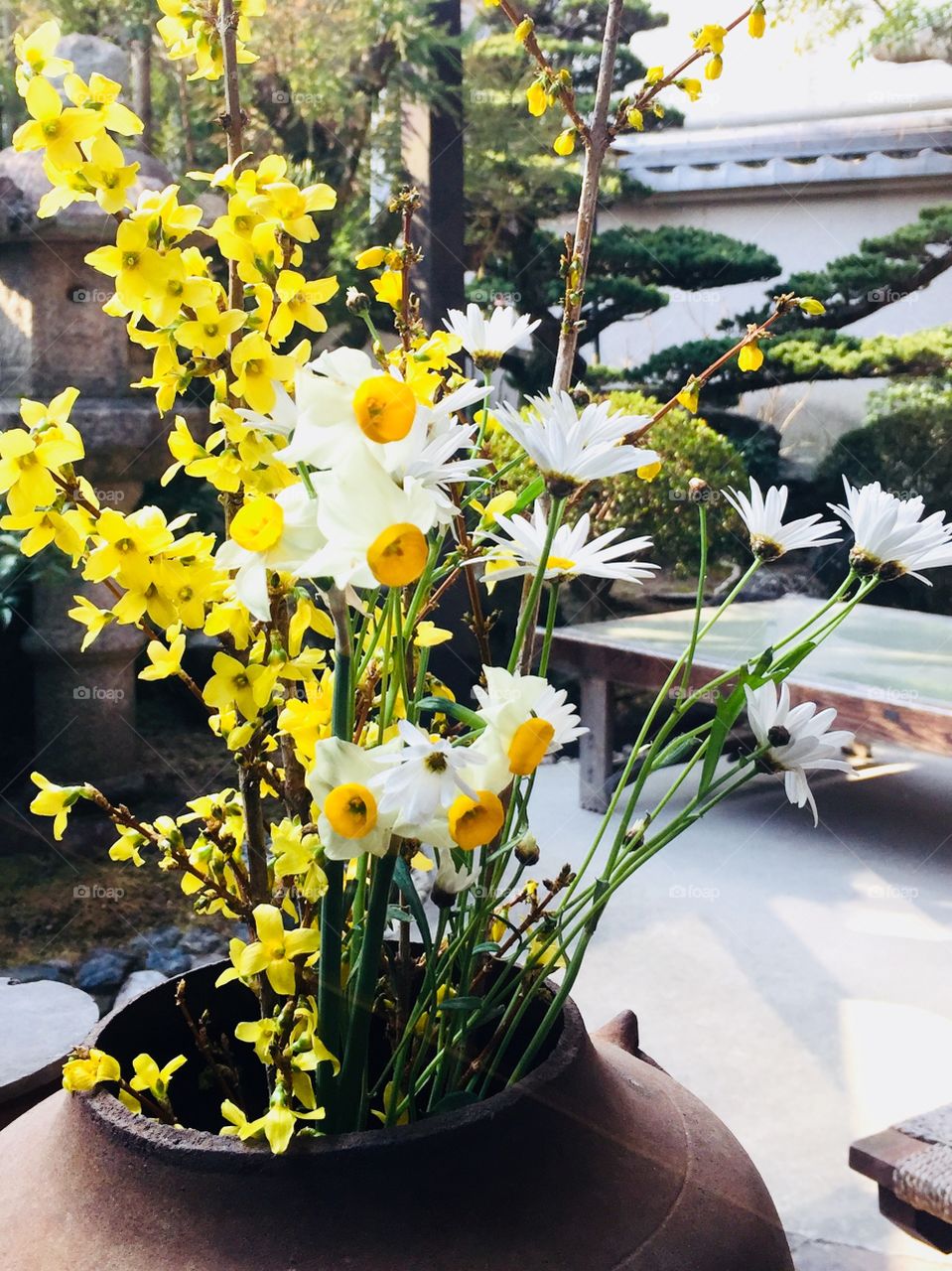 Spring is almost in the air