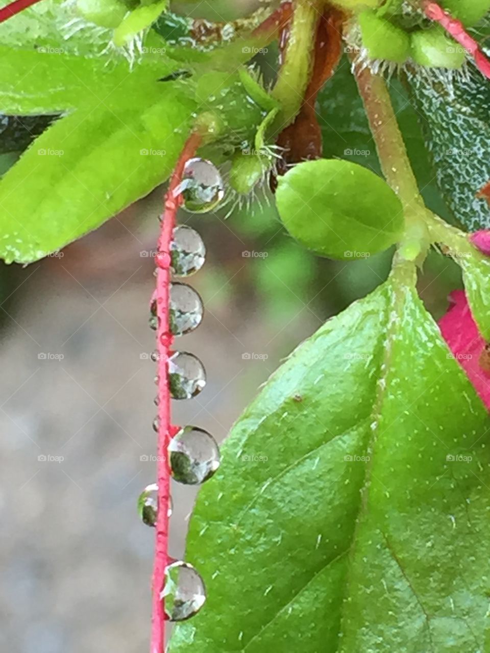 Rain droplet chain 