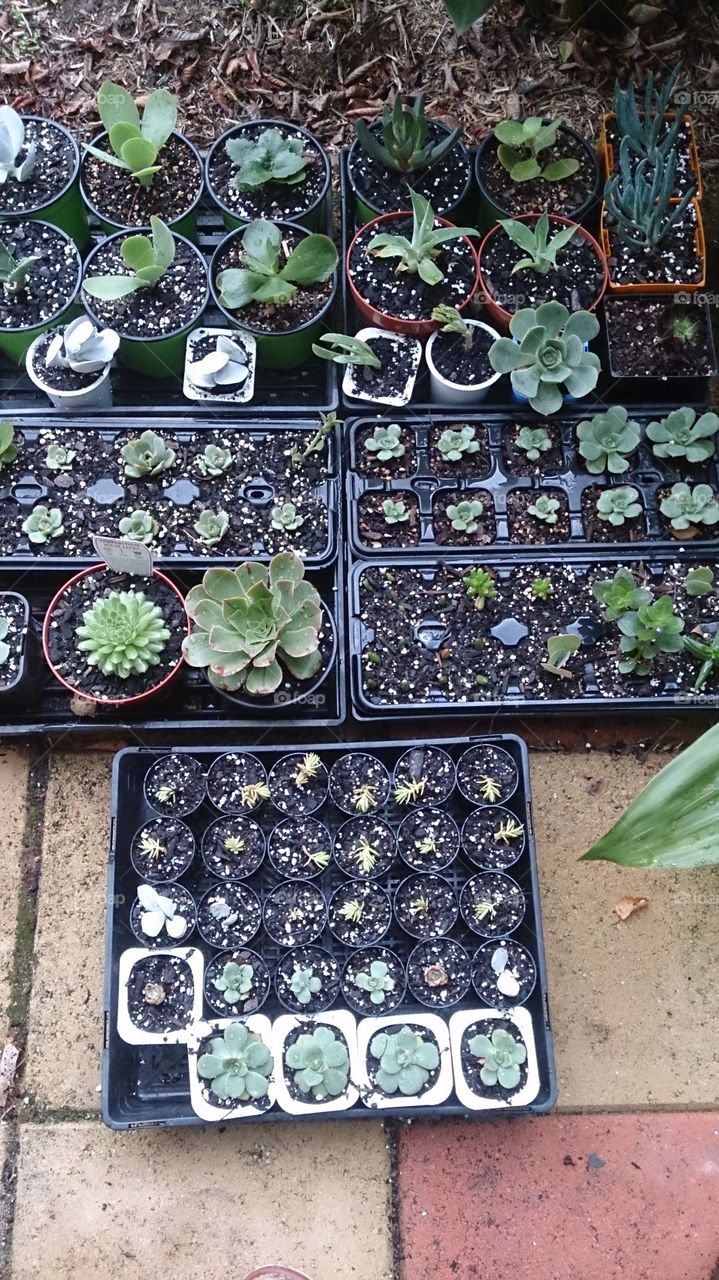 Propergating for Fun.