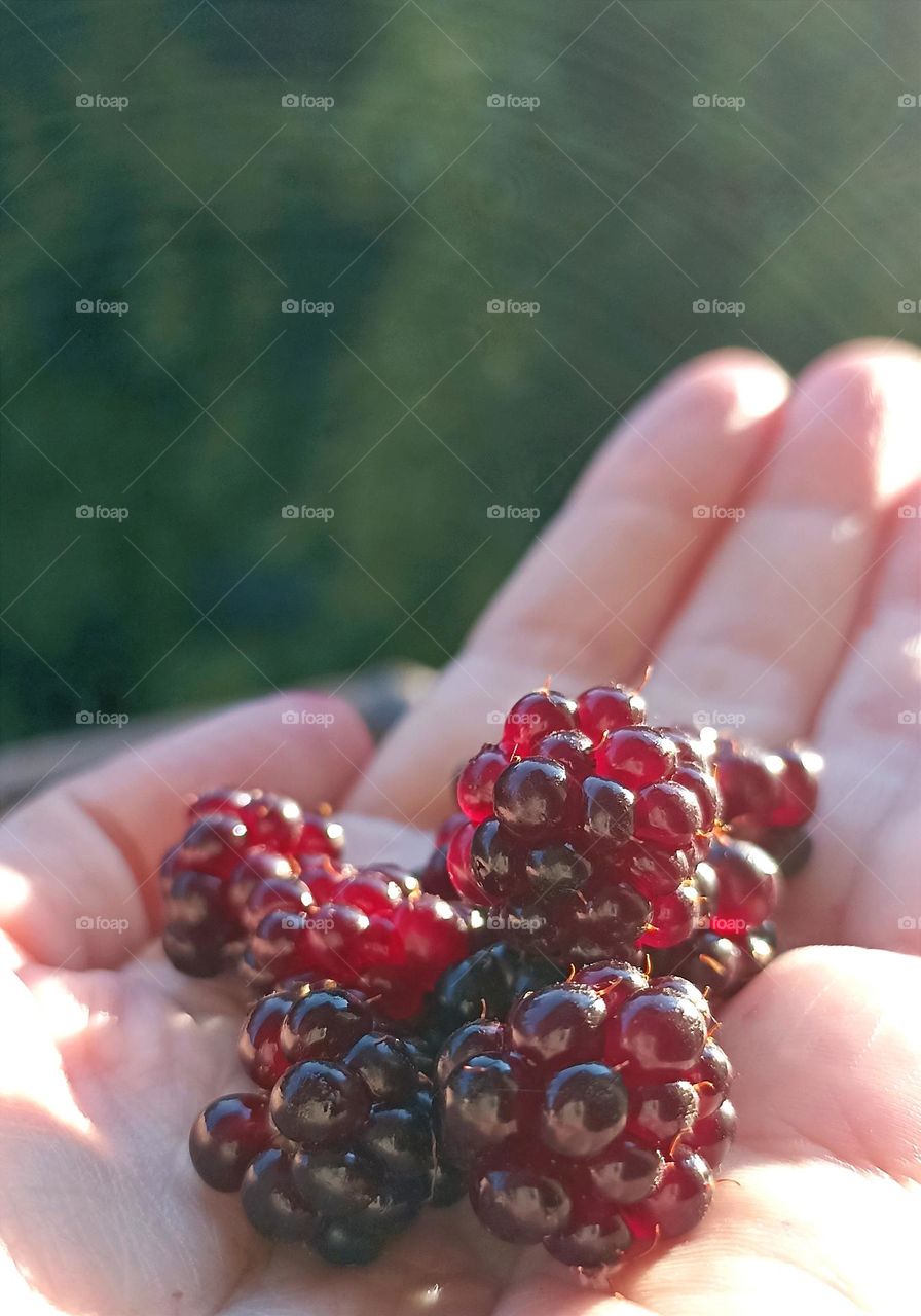 berries in the hand summer tasty healthy food, mobile photography