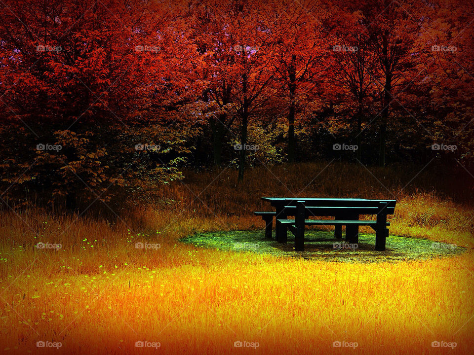 autumn beautiful lovely 4 by saurav