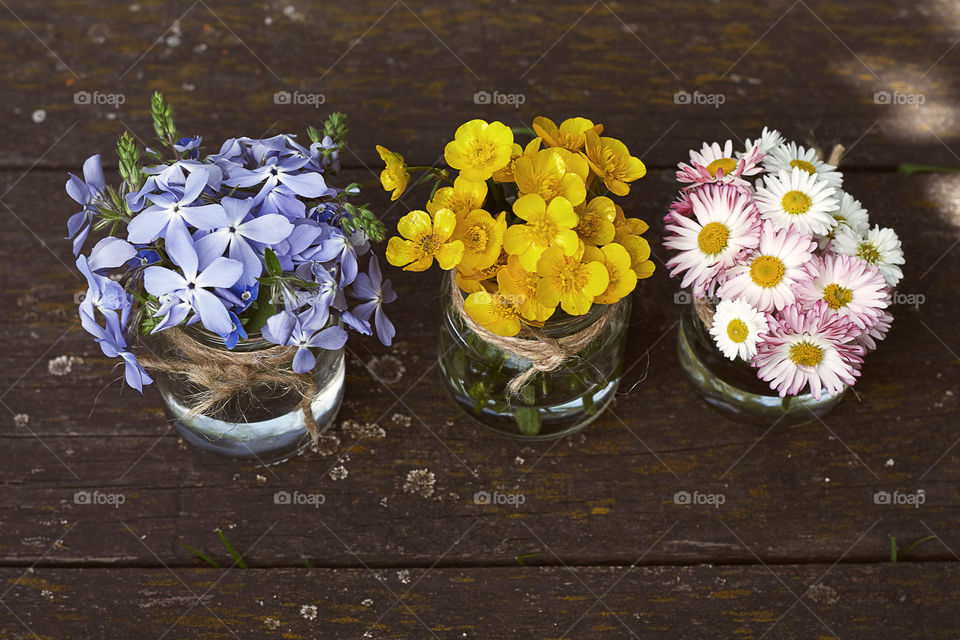 multicolored flowers