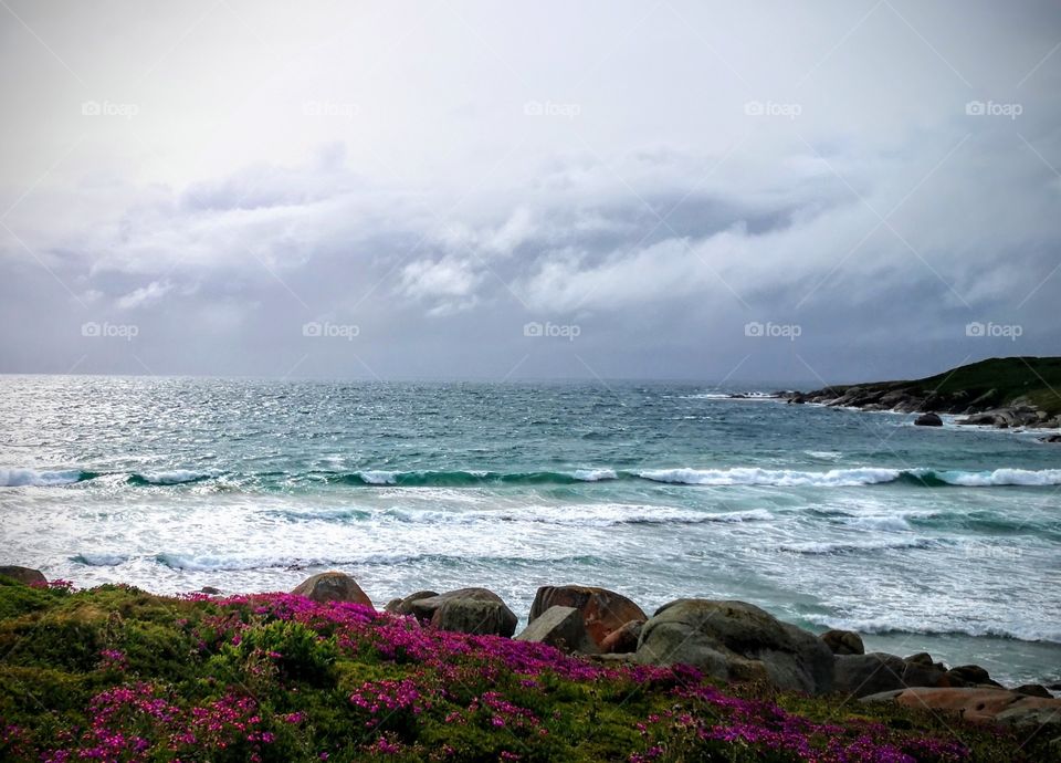 Three Hummock Island State Reserve, Tasmania 2