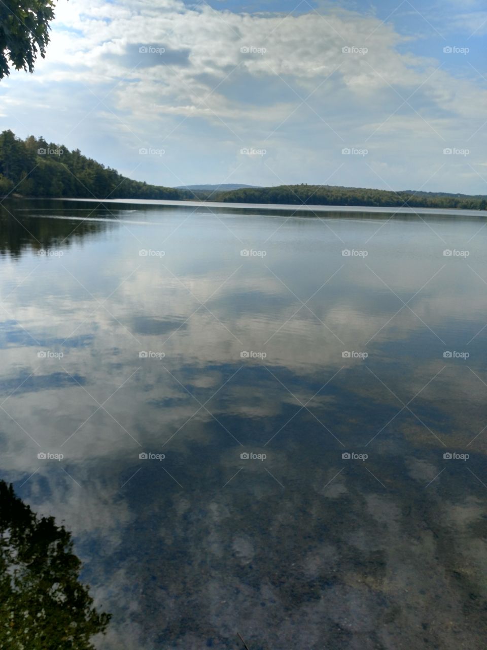 Maine Ponds