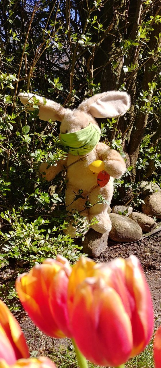 Hase Osterhase Ostern Mundschutz Corona easteregg