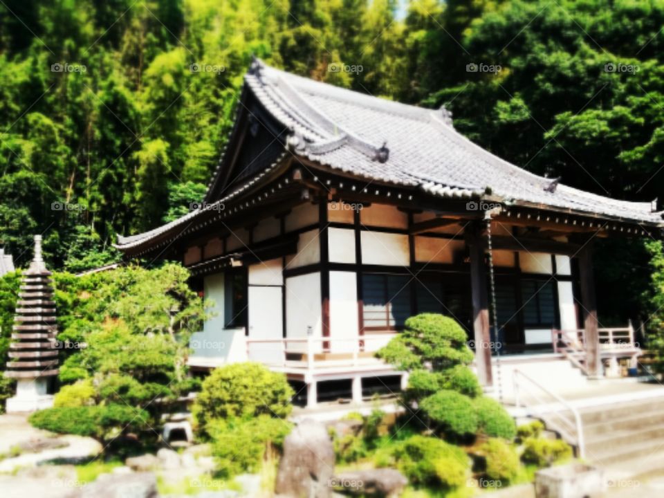 Architecture Japan. A traditional Japanese house