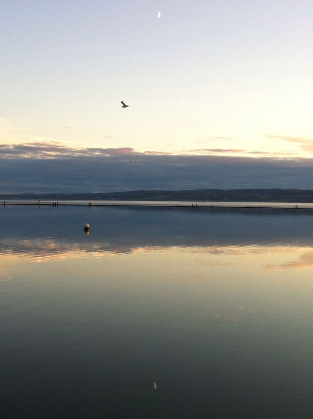 landscape lake bird calm by somebodysson