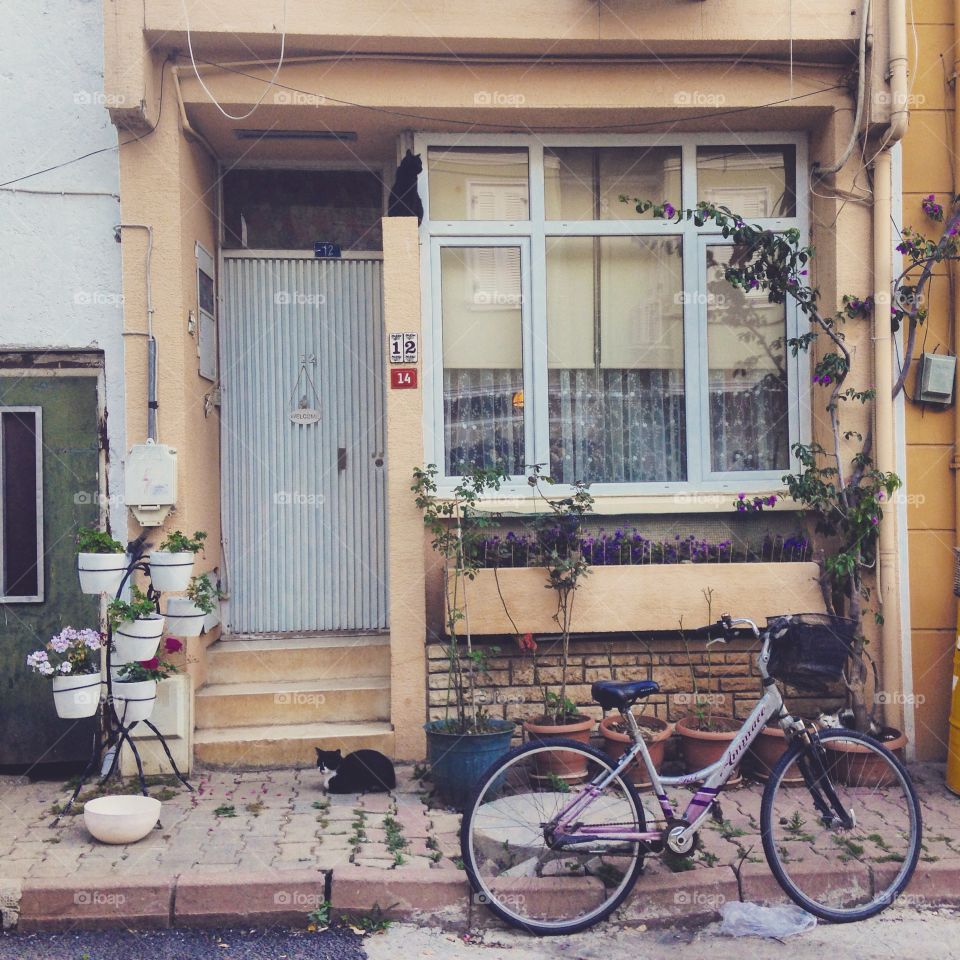 House, Architecture, Window, Street, Door