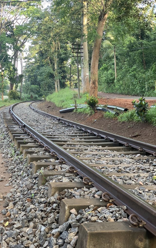 Train tracks 