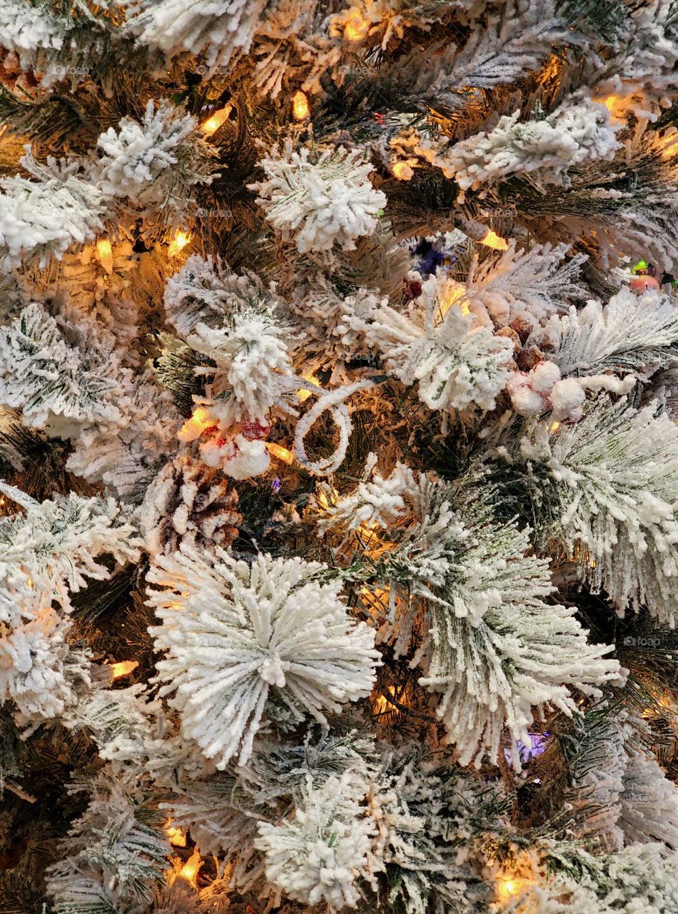 Christmas Tree of Snow and Lights