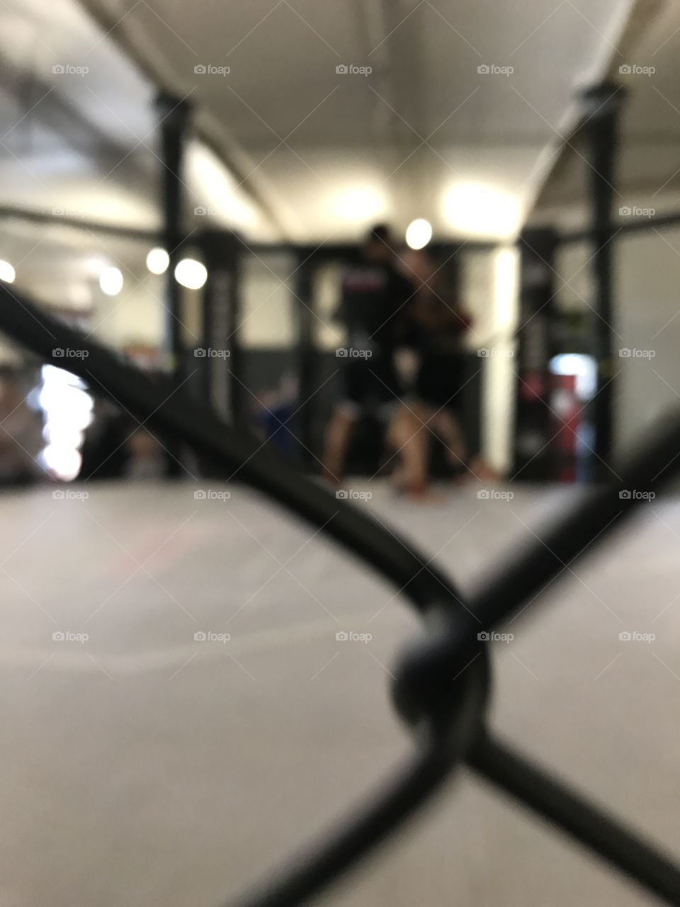 MMA BOXING RING CAGE FOCUS 