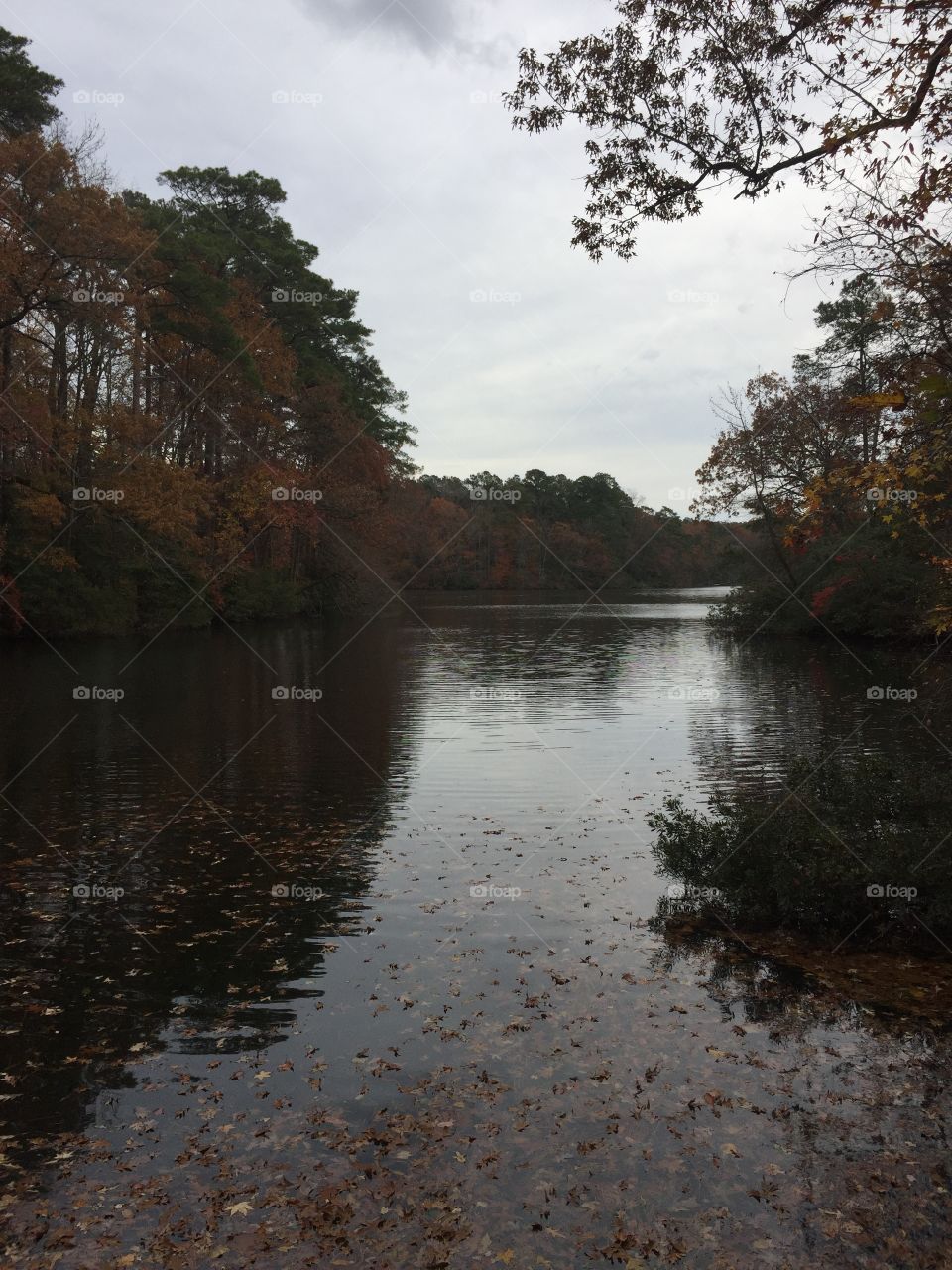 Lake Maury in November 