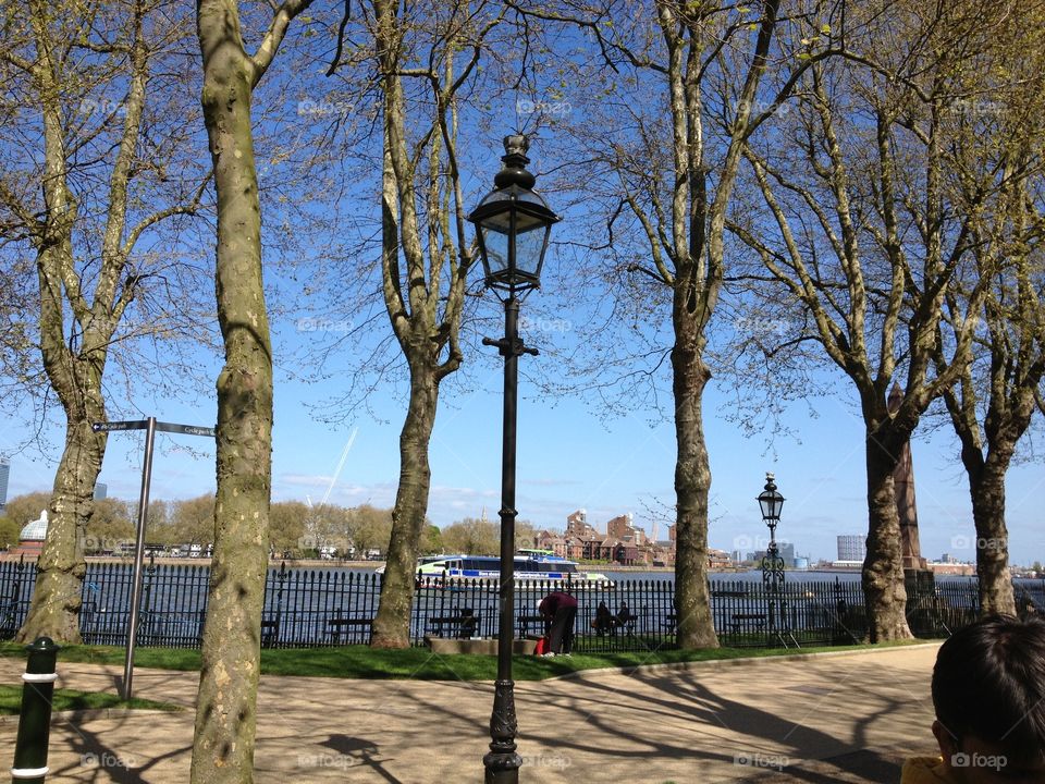 Beautiful tree and light view 