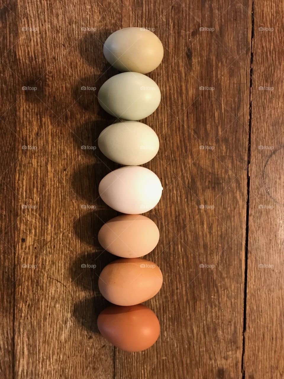 Eggs wonderful eggs