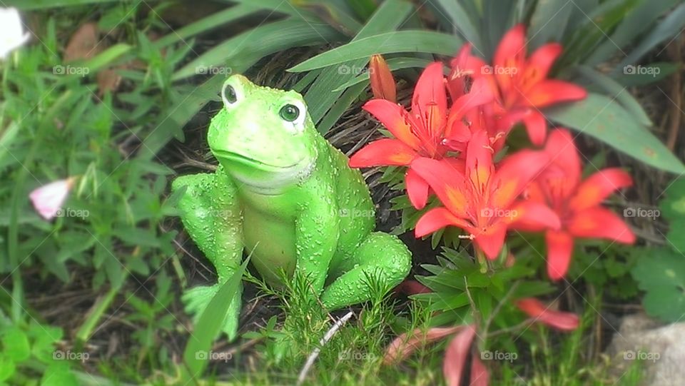 Guardian of the Lillies