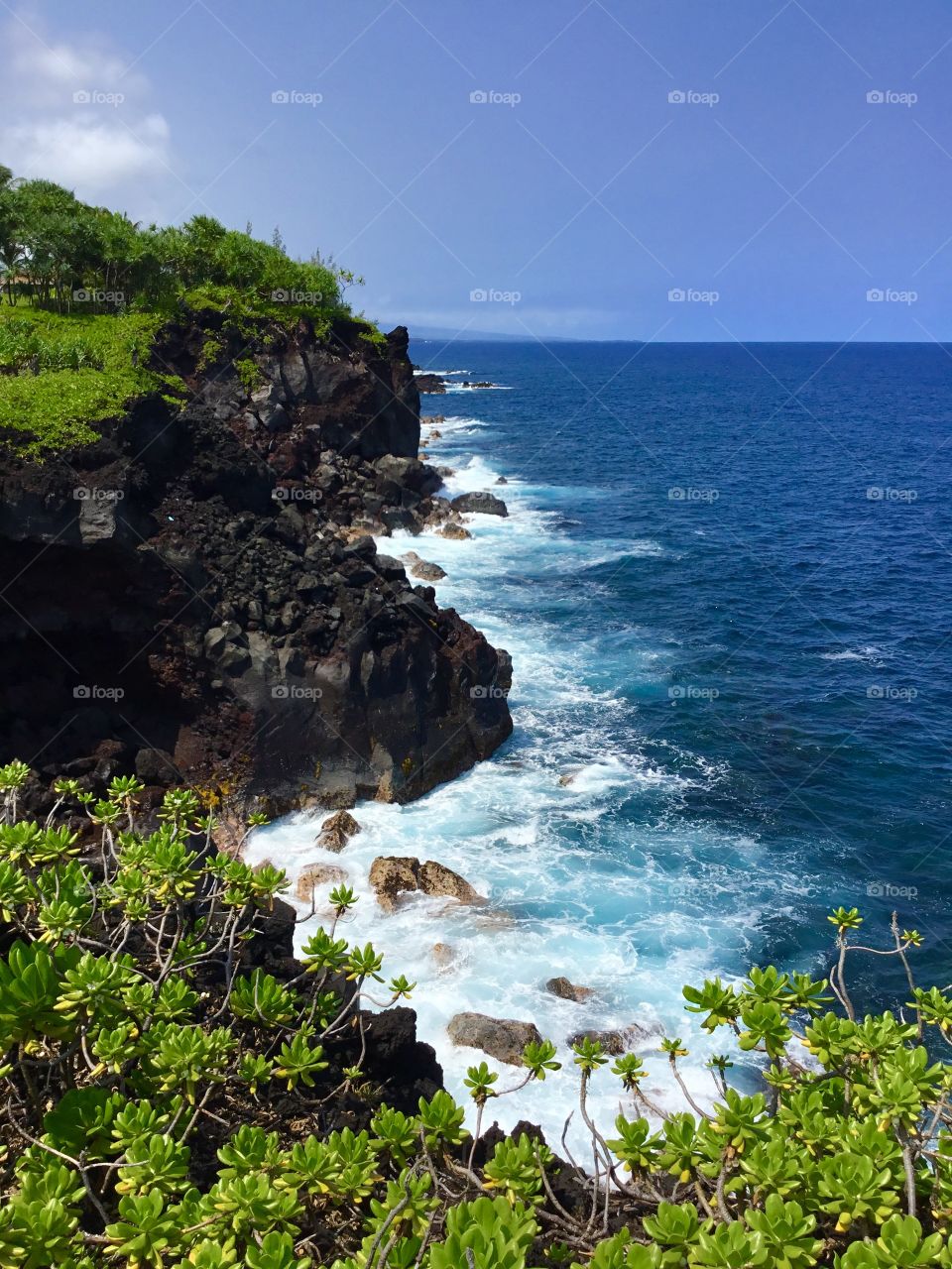 Sea cliffs on the Big Island