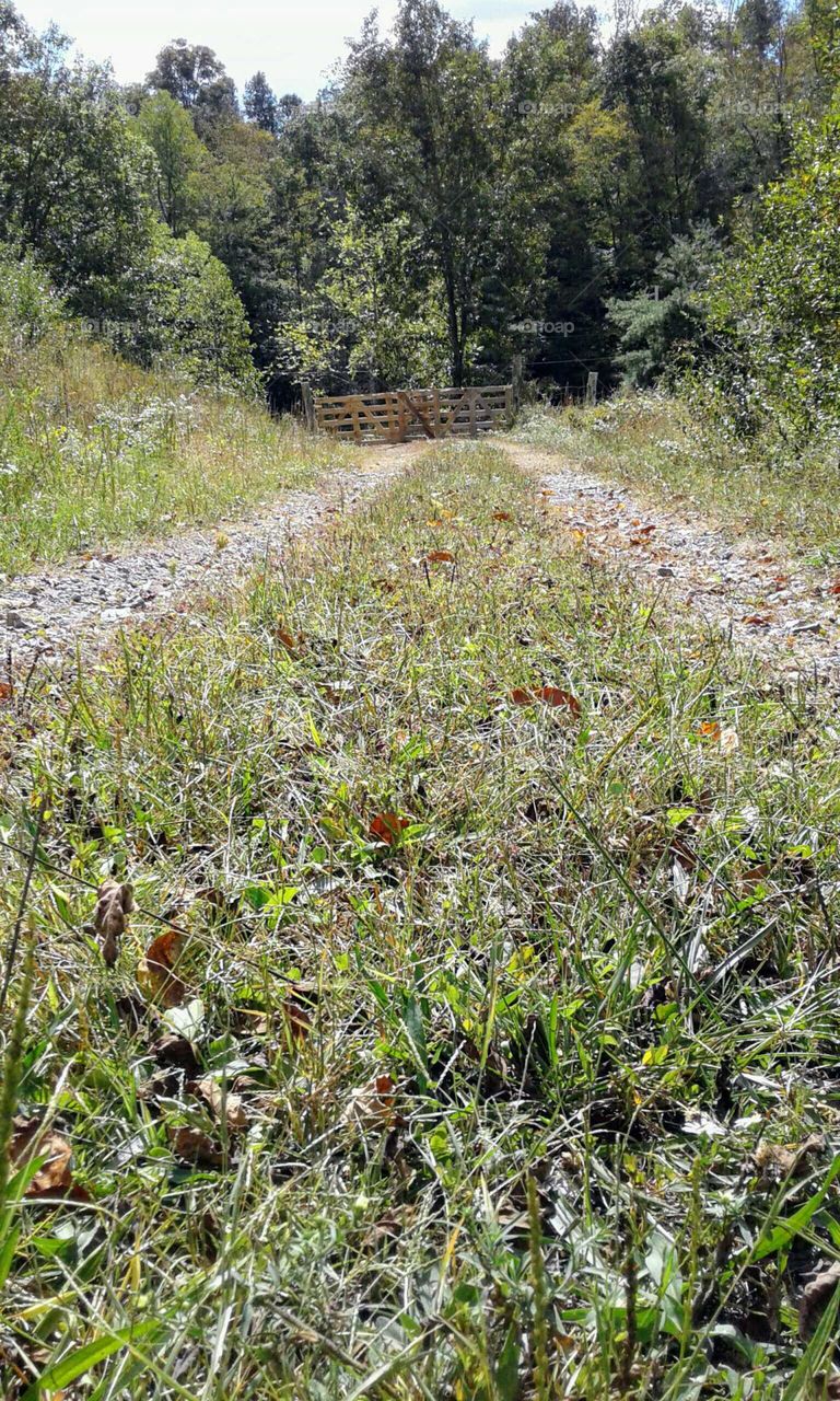 Fall on the farm