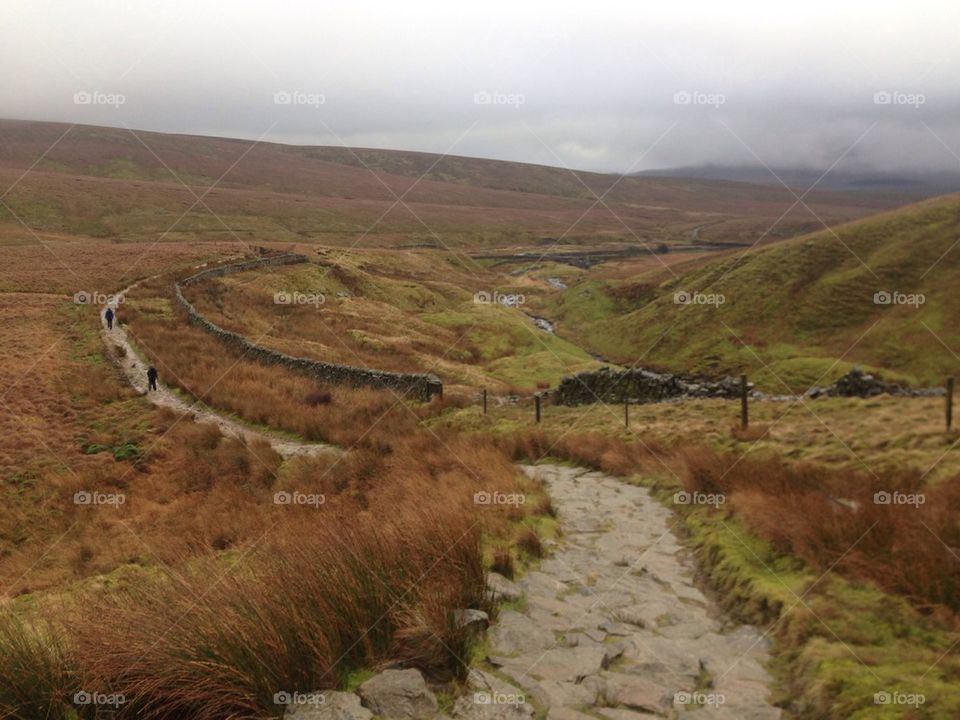 Whernside 