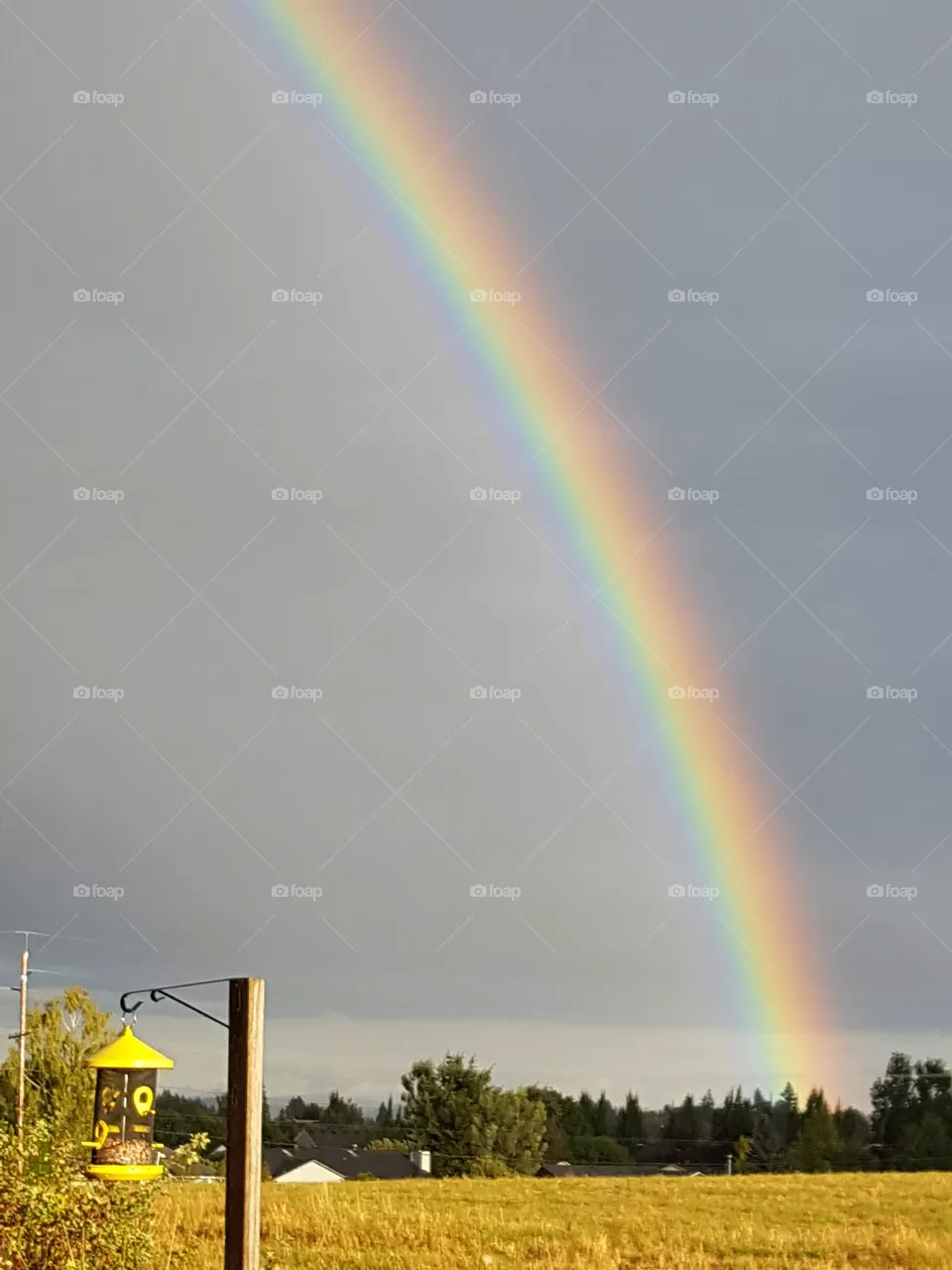 rainbow