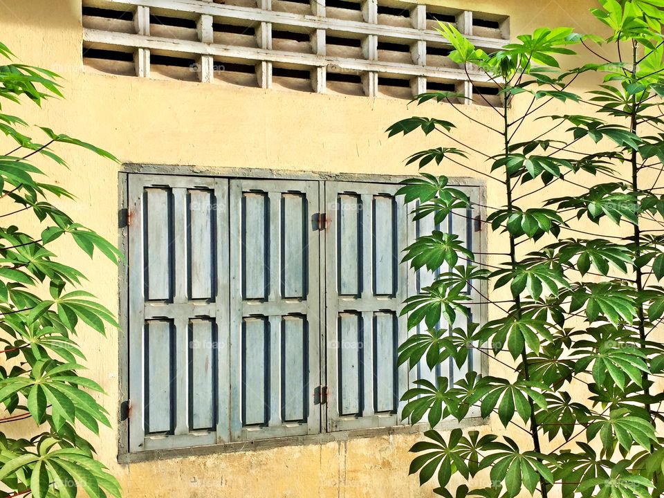 Window in an old school