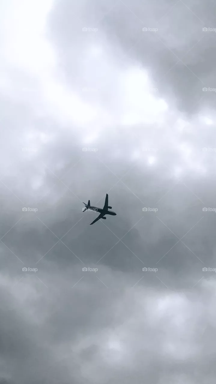 Fly in the sky 