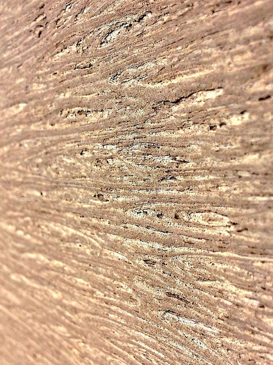 Vinyl wood plank details 
