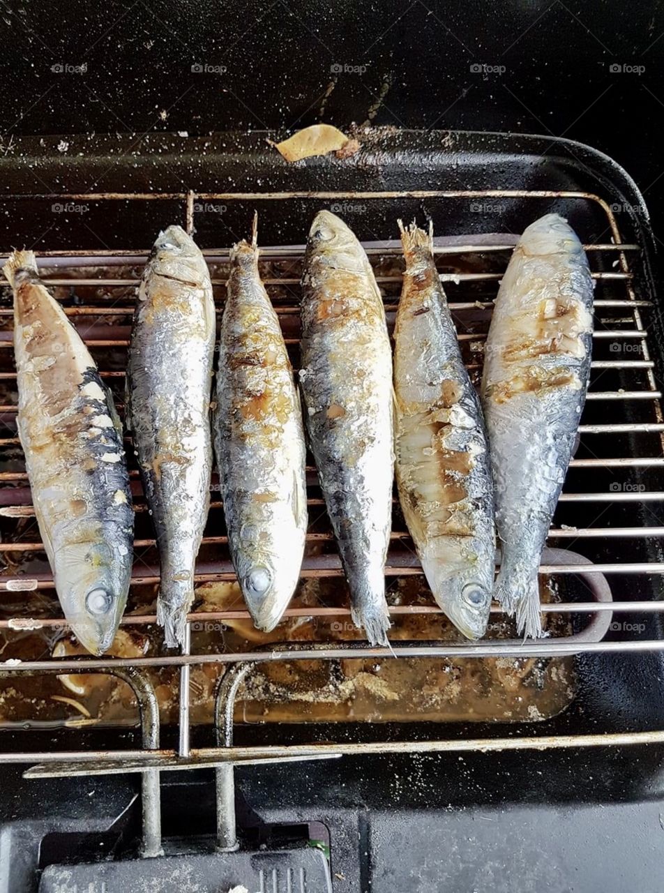 Sardines, Portuguese food and Customs 