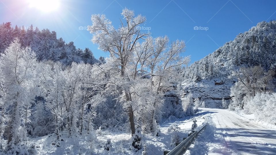 A Colorado winter