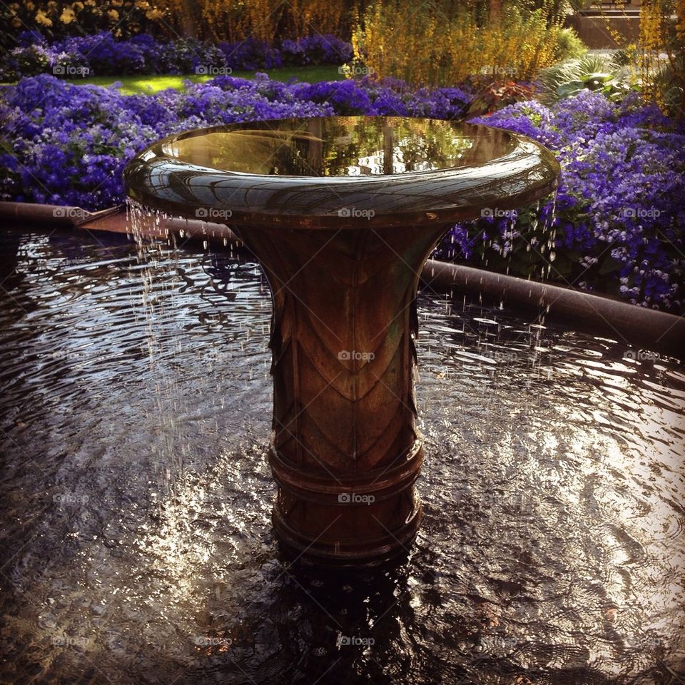 Fountain